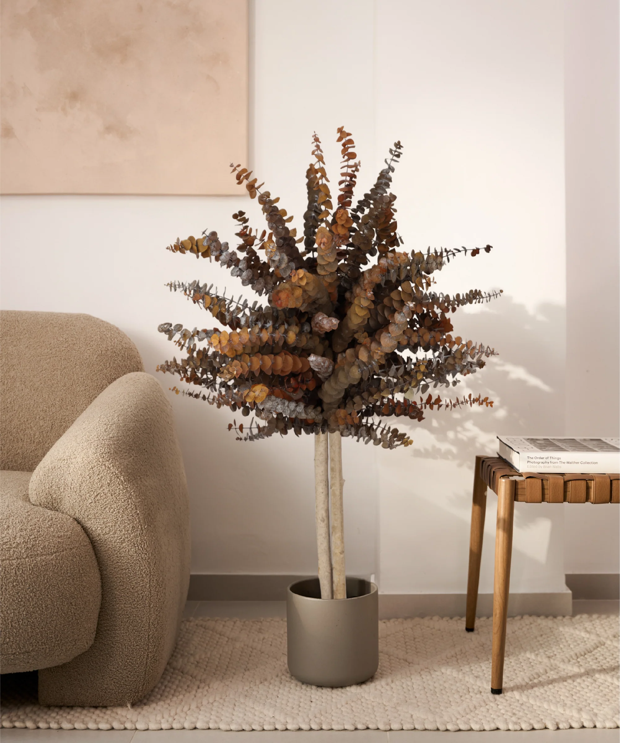 Árbol Eucalipto Preservado Baby - Image 14