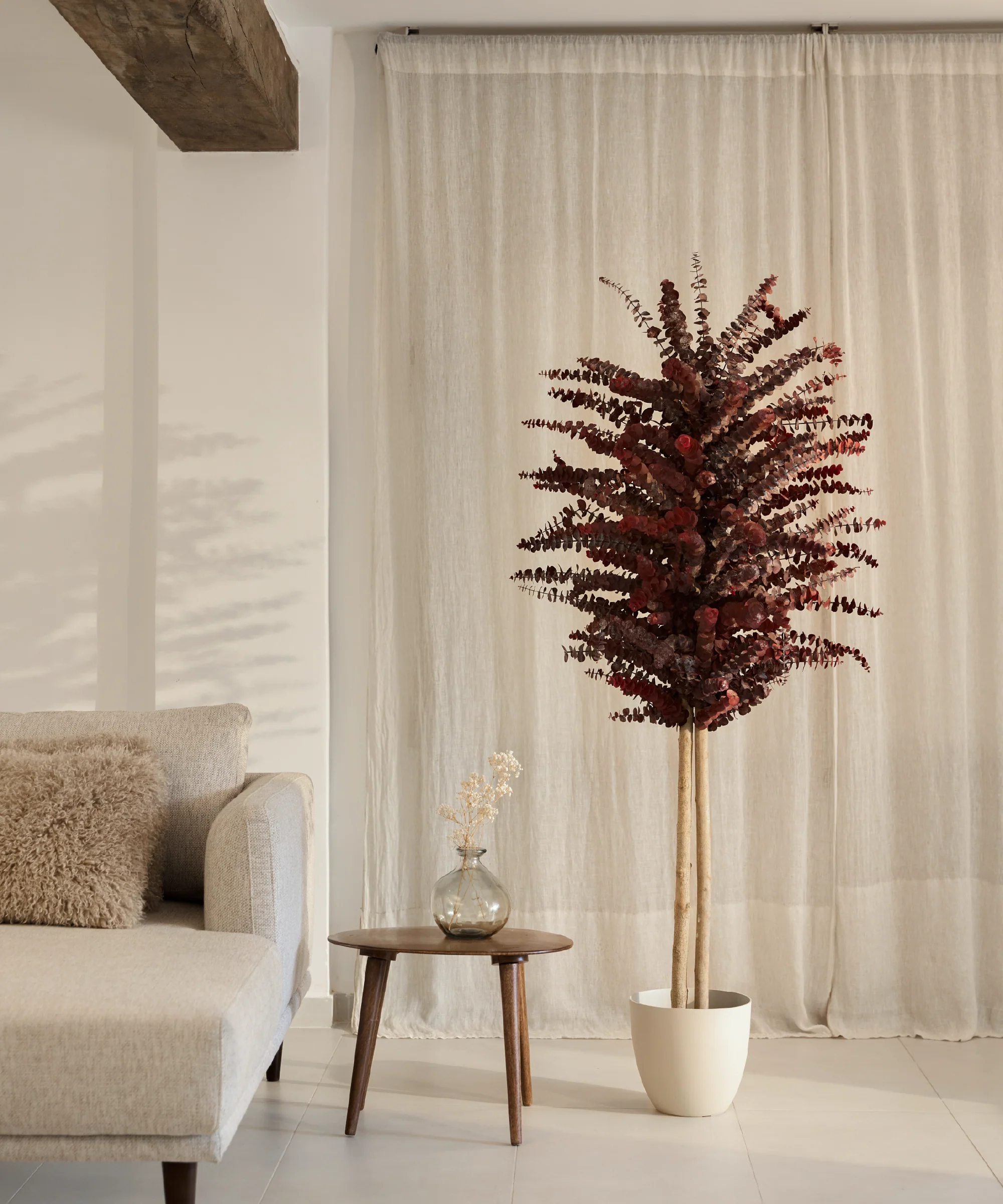 Árbol Eucalipto Preservado Baby - Image 3