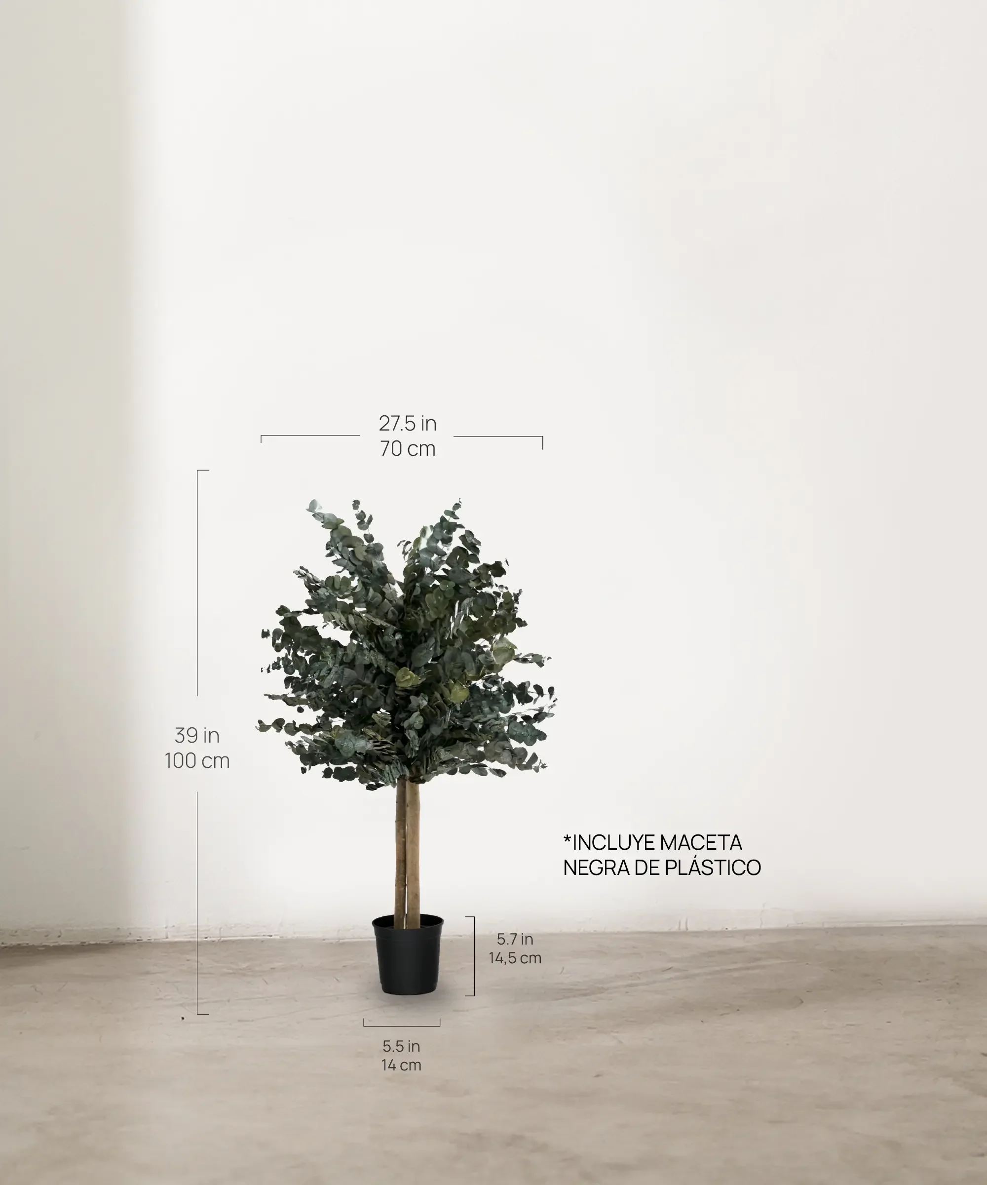 Árbol Eucalipto Preservado Essential - Image 12