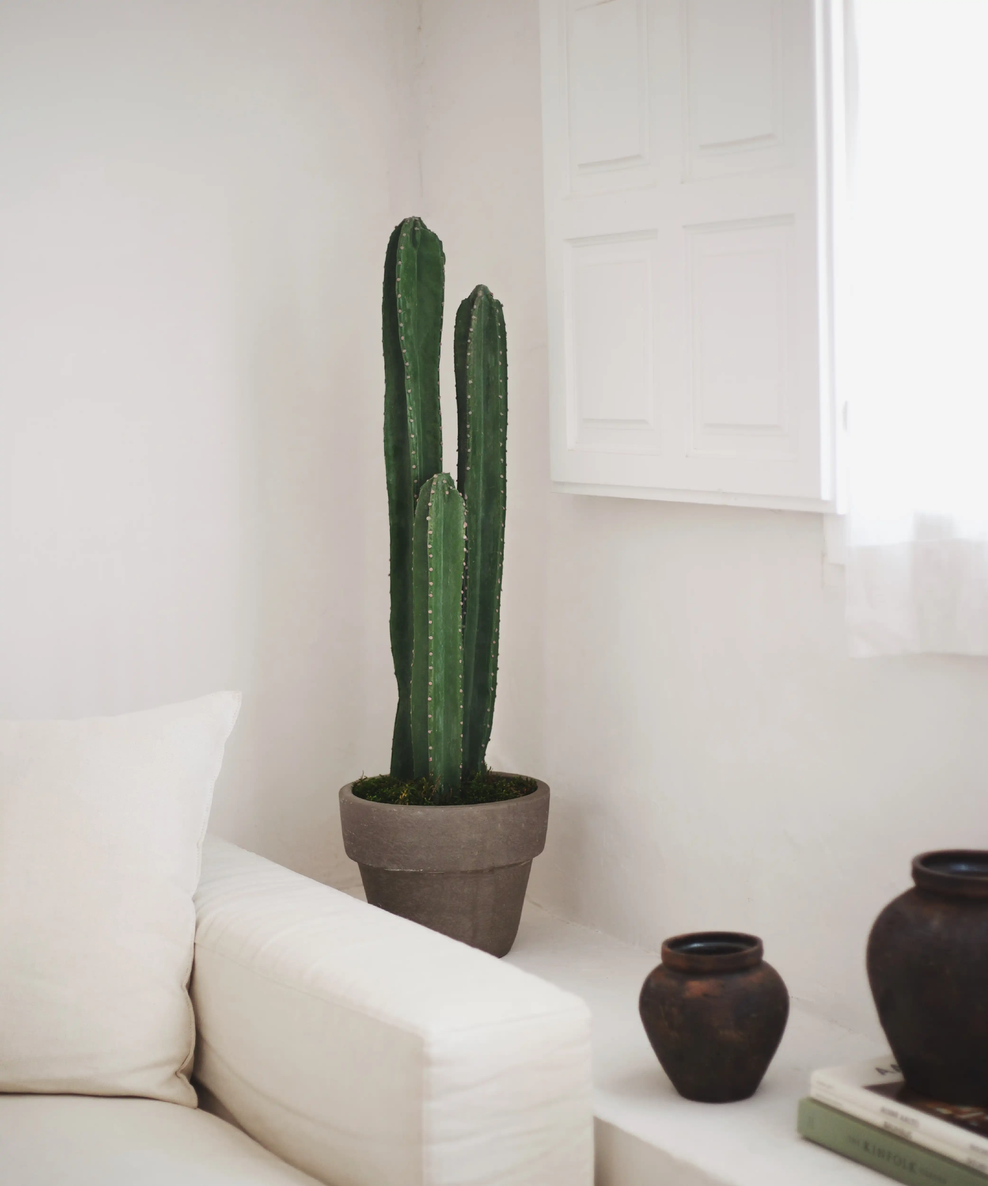 Cactus artificial - Image 4