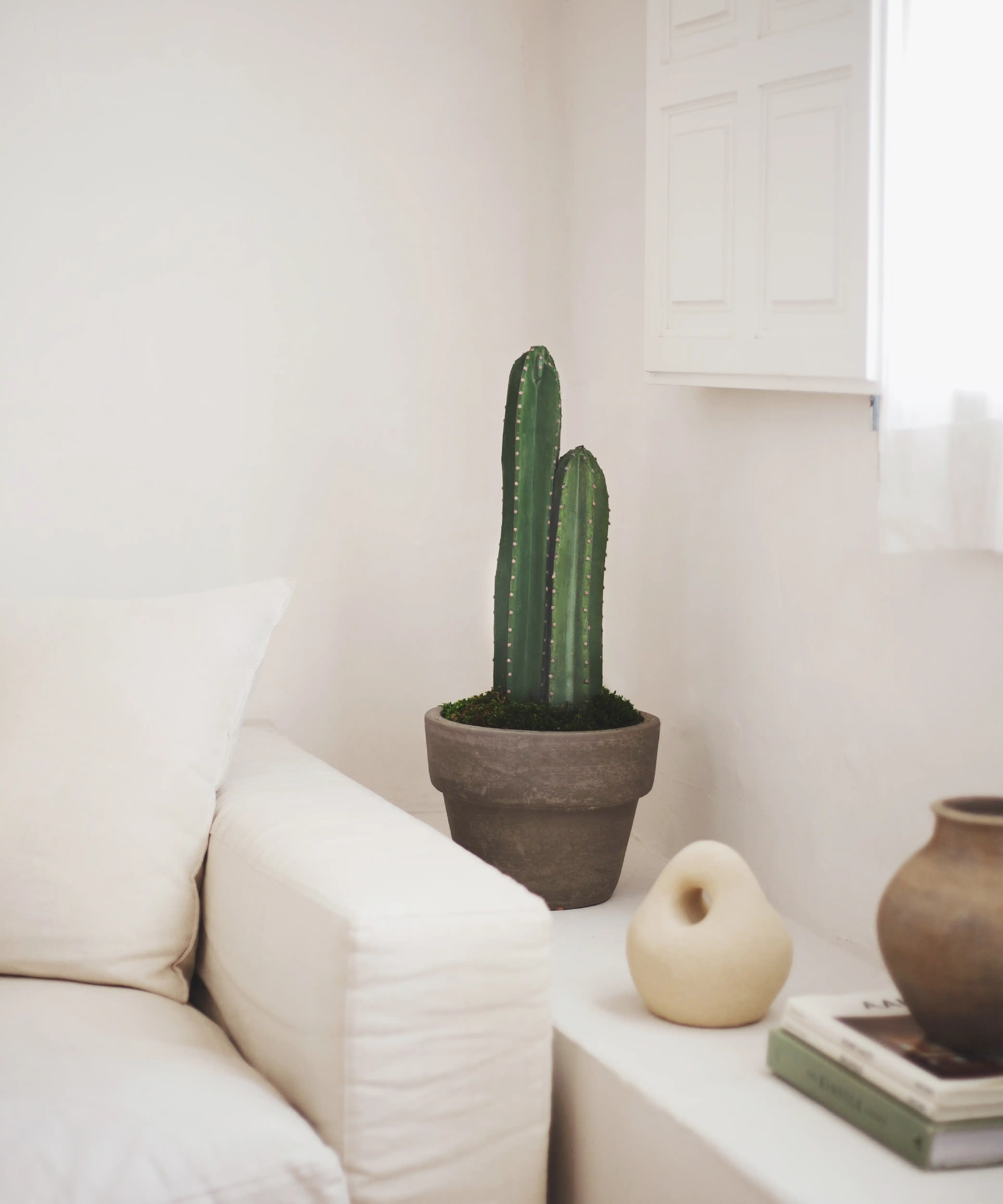 Cactus artificial - Image 5
