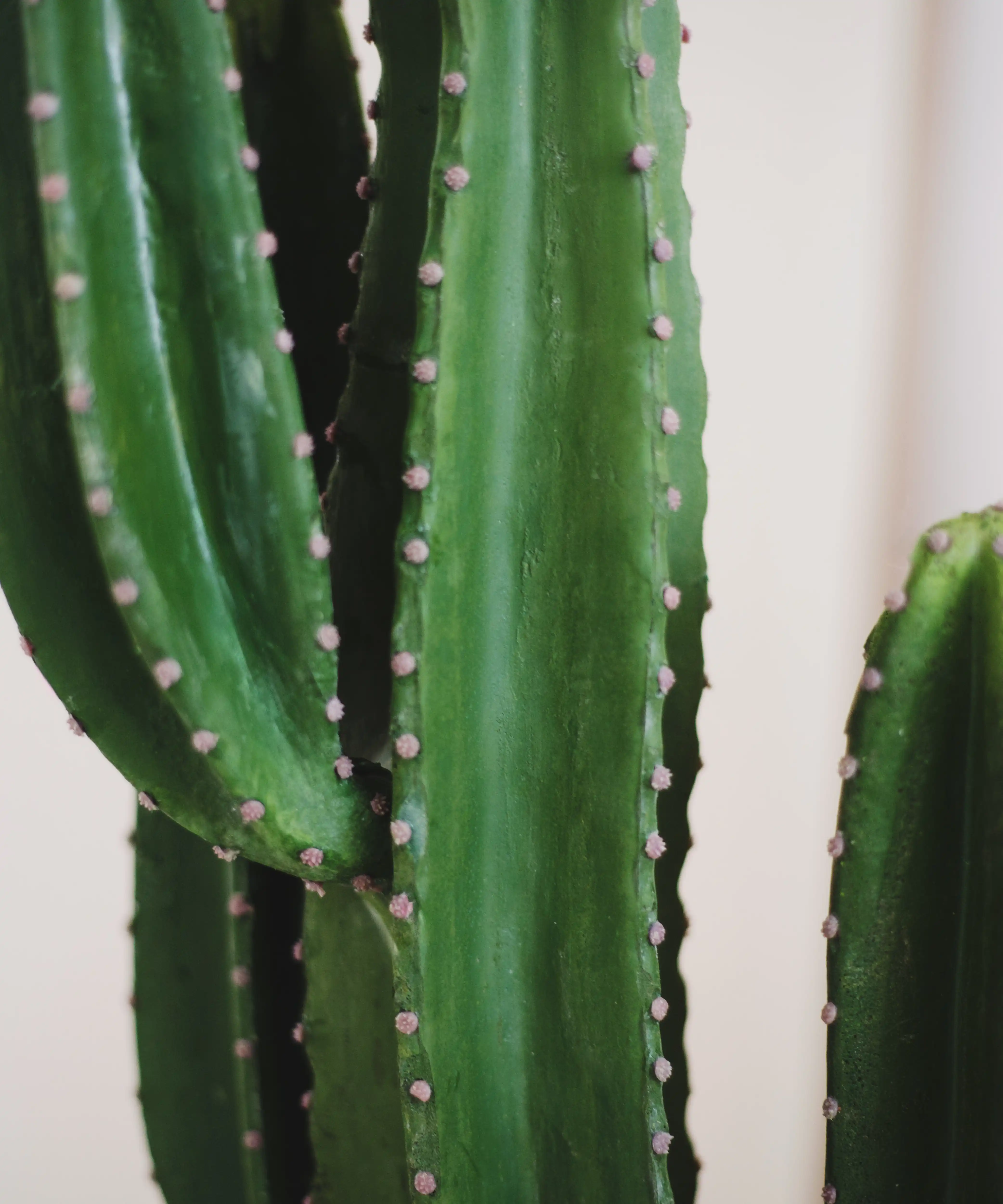 Cactus artificial - Image 7