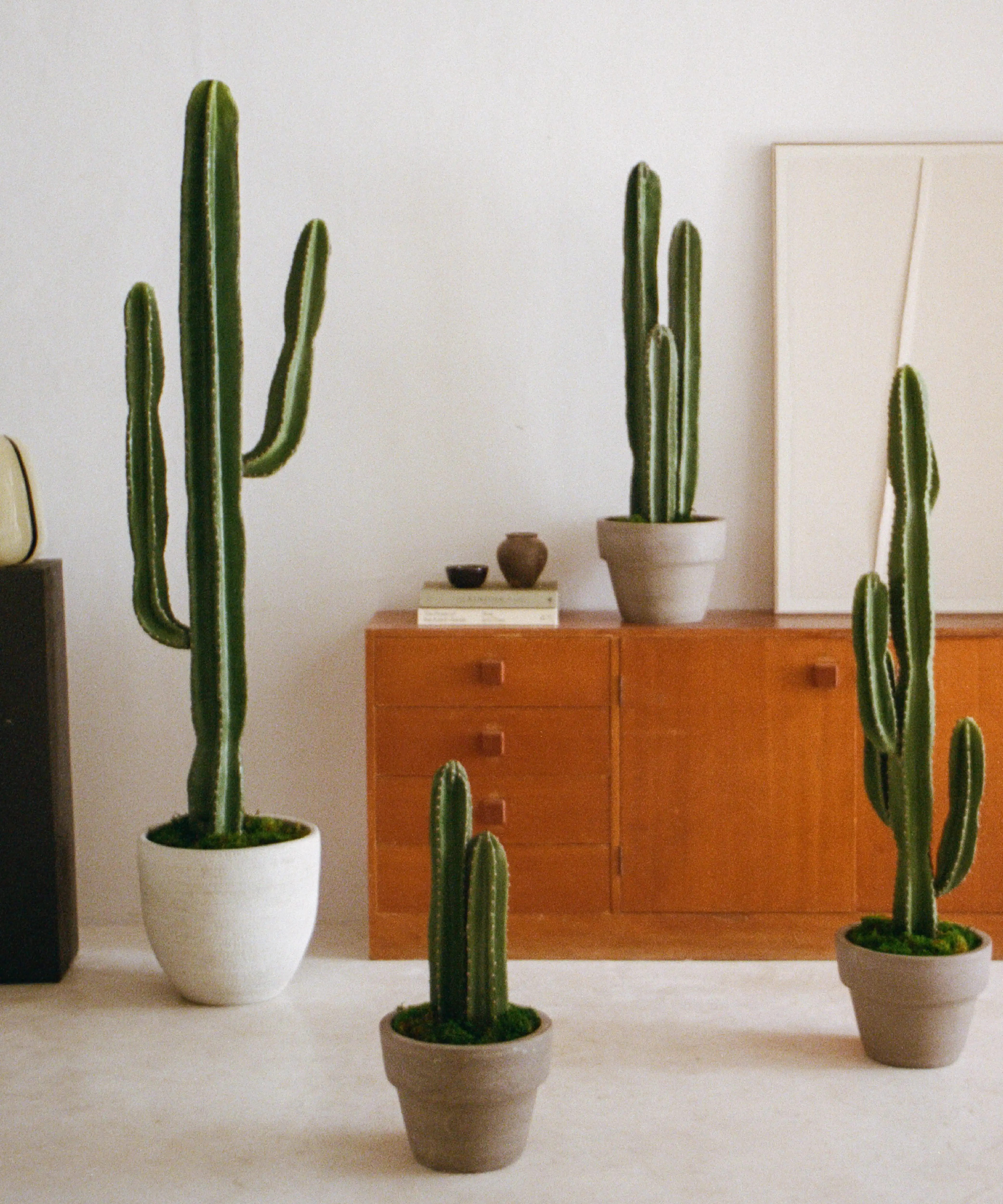Cactus artificial - Image 9