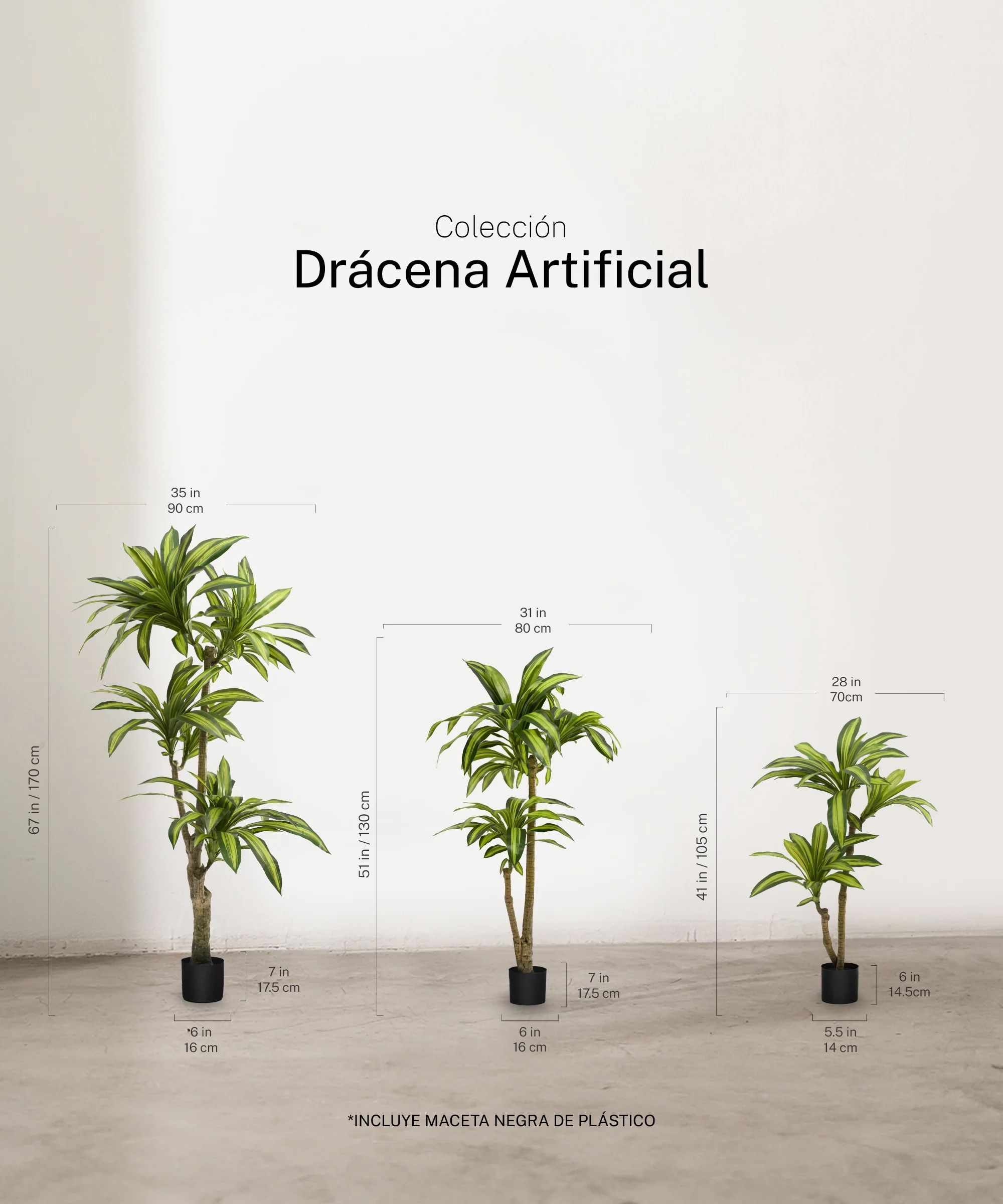 Drácena Artificial - Image 2