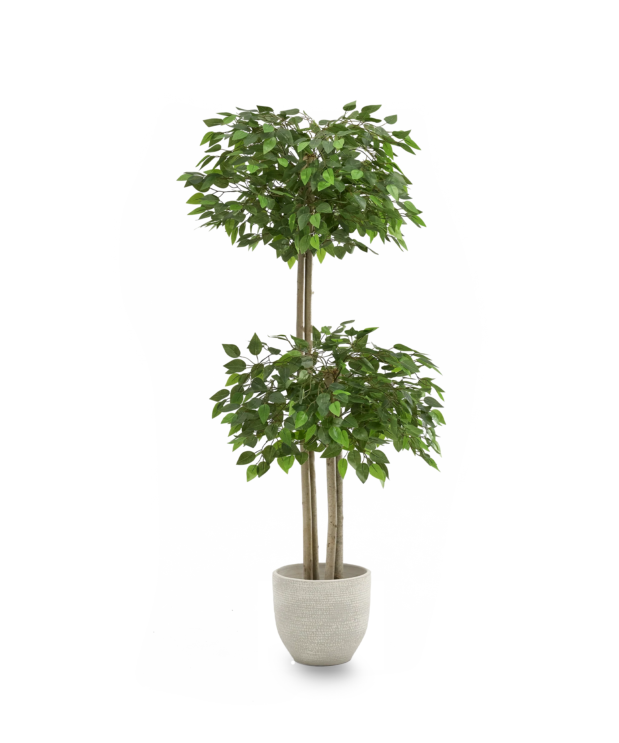Ficus Artificial Copas - Image 4