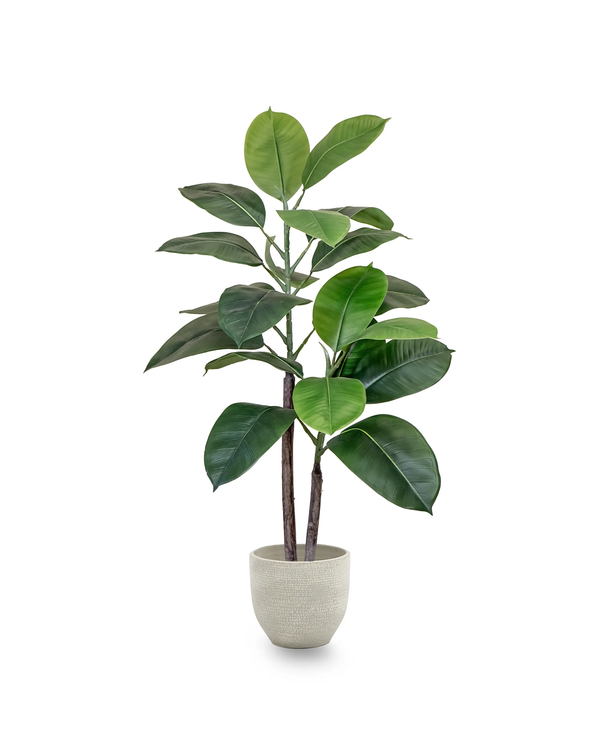 Ficus Elástica artificial - Image 6