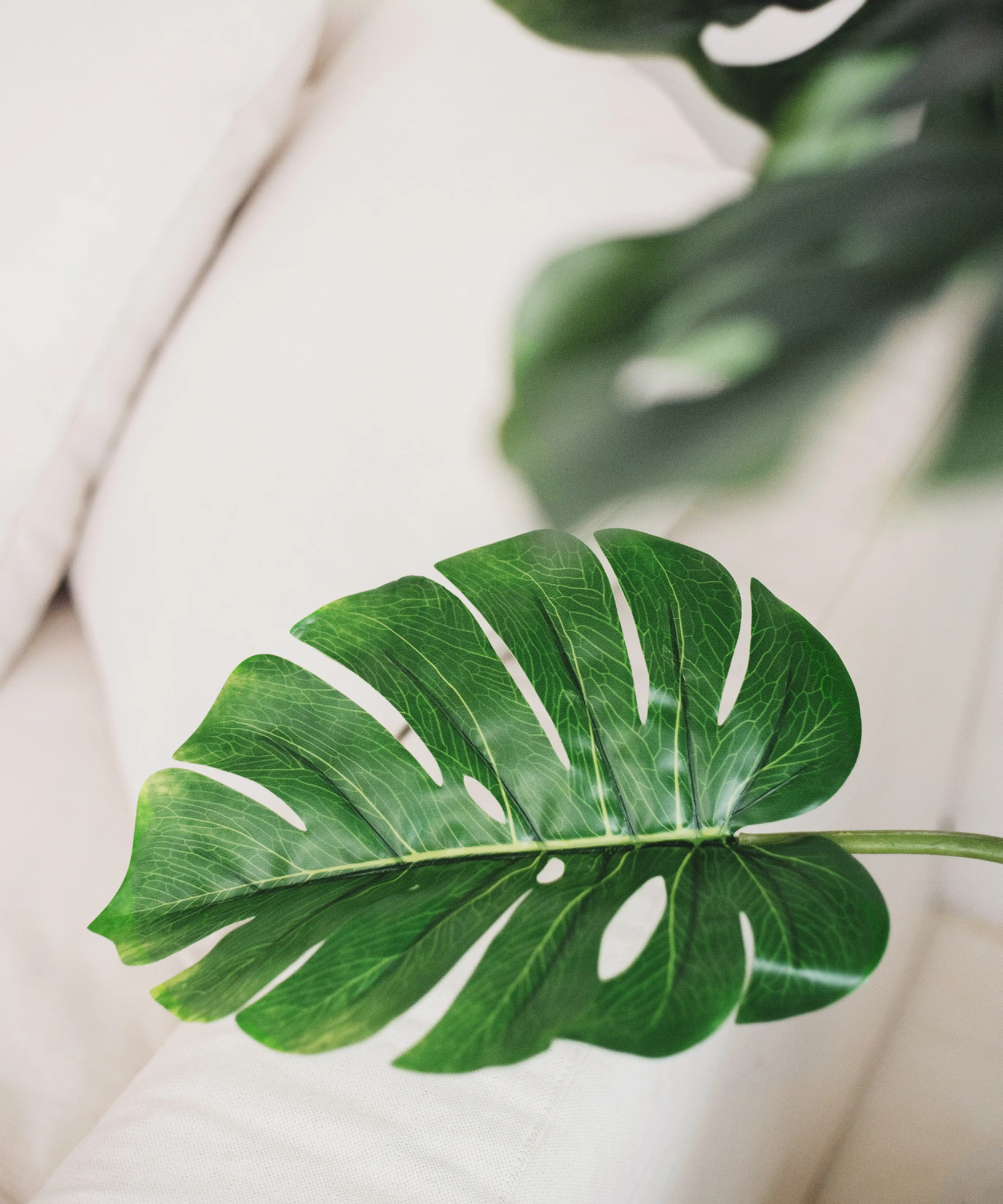 Monstera Artificial - Image 3