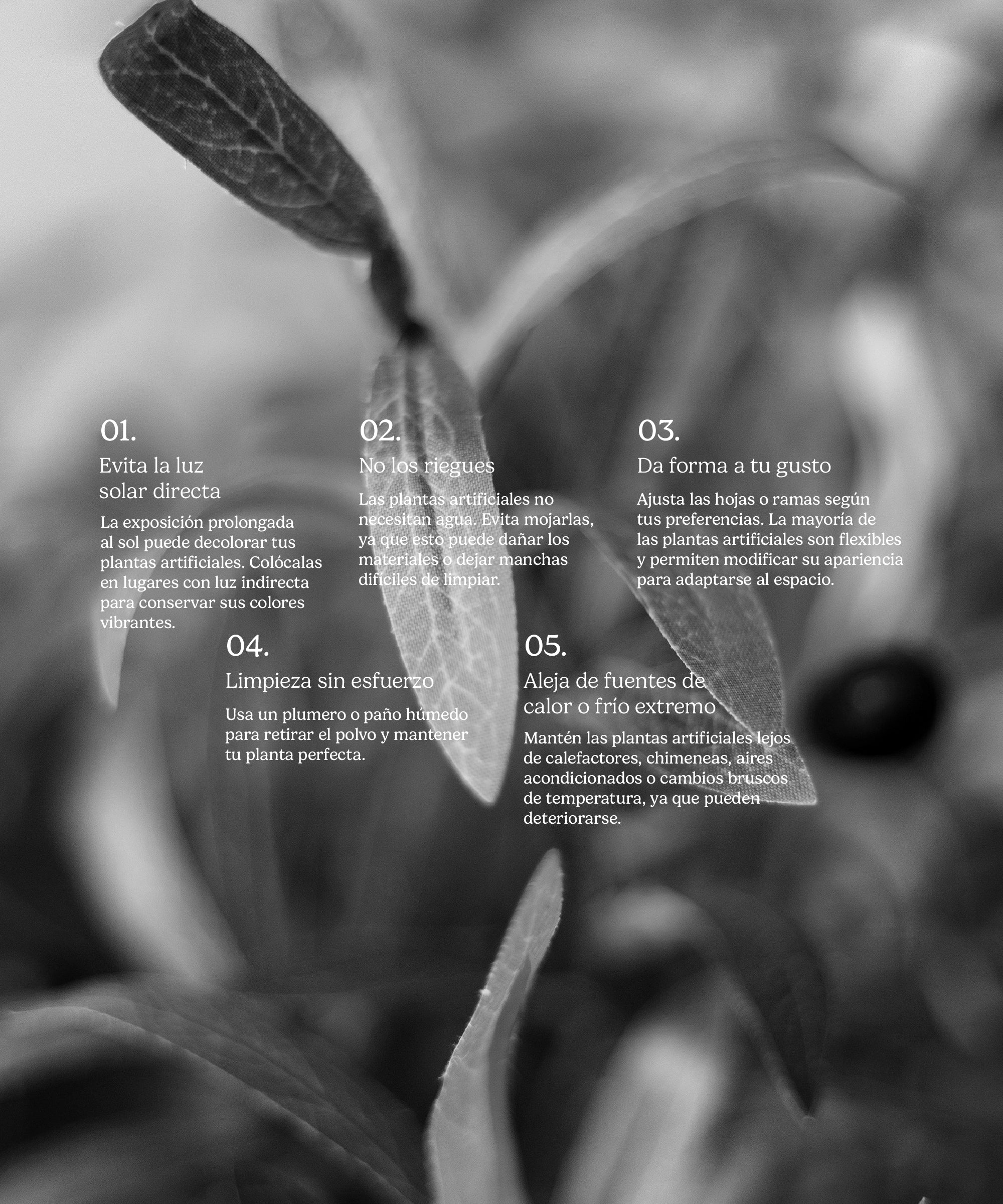 Olivo Artificial - Image 11