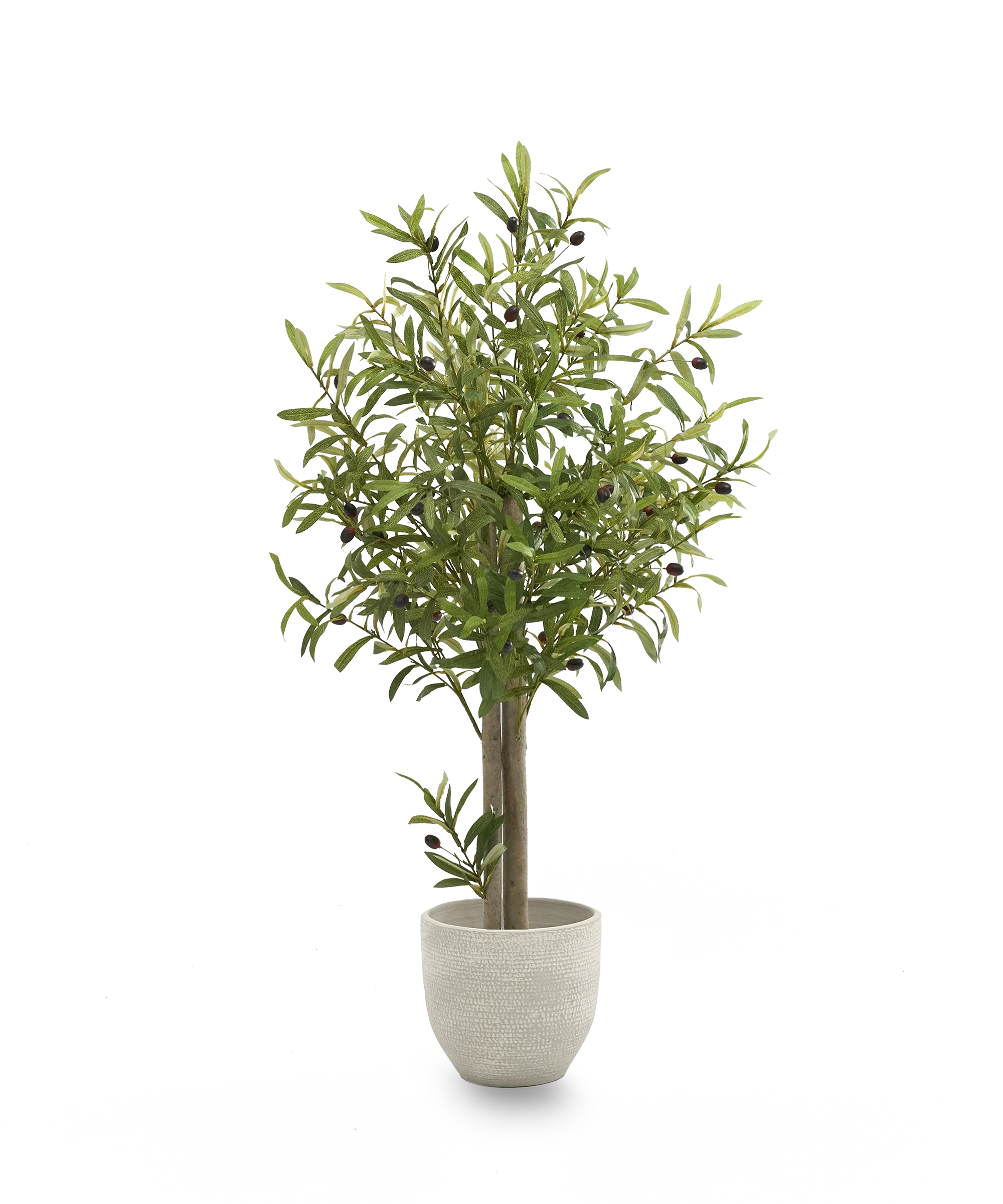 Olivo Artificial - Image 6
