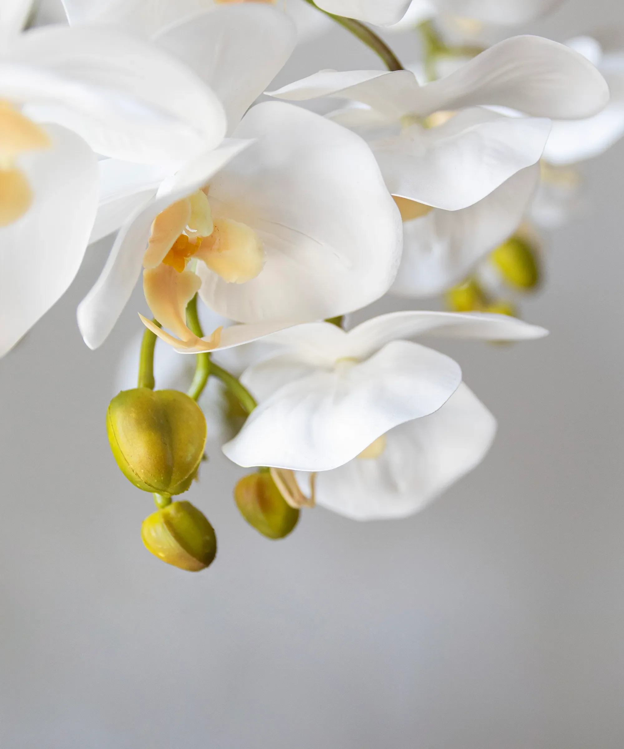Orquídea artificial con Maceta de cerámica Mila - Image 10