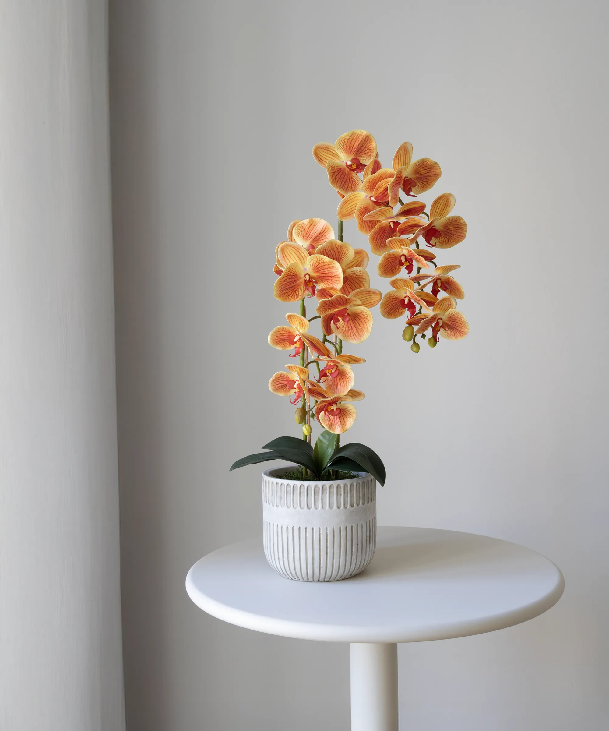 Orquídea artificial con Maceta de cerámica Royal - Image 3