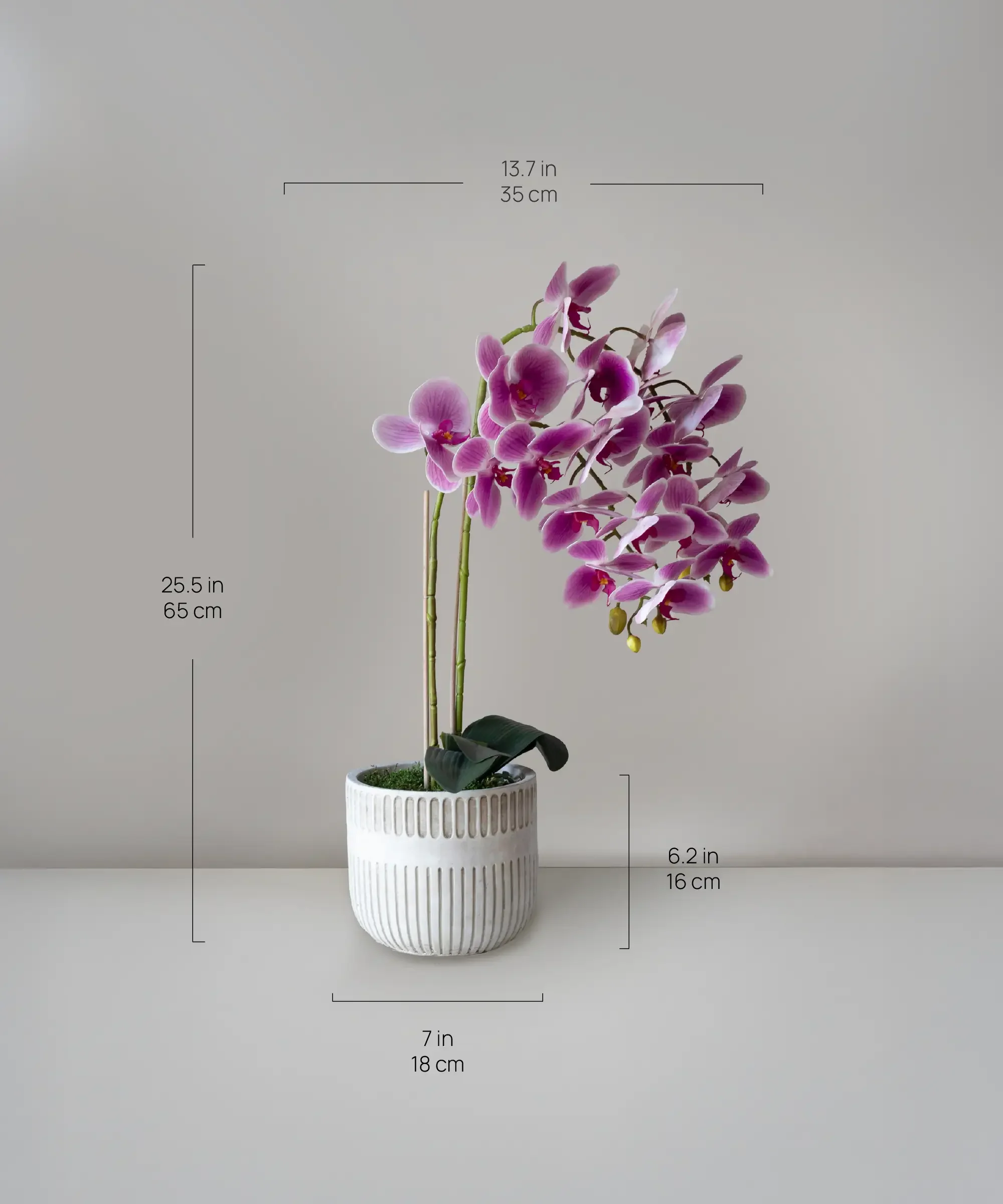 Orquídea artificial con Maceta de cerámica Royal - Image 9