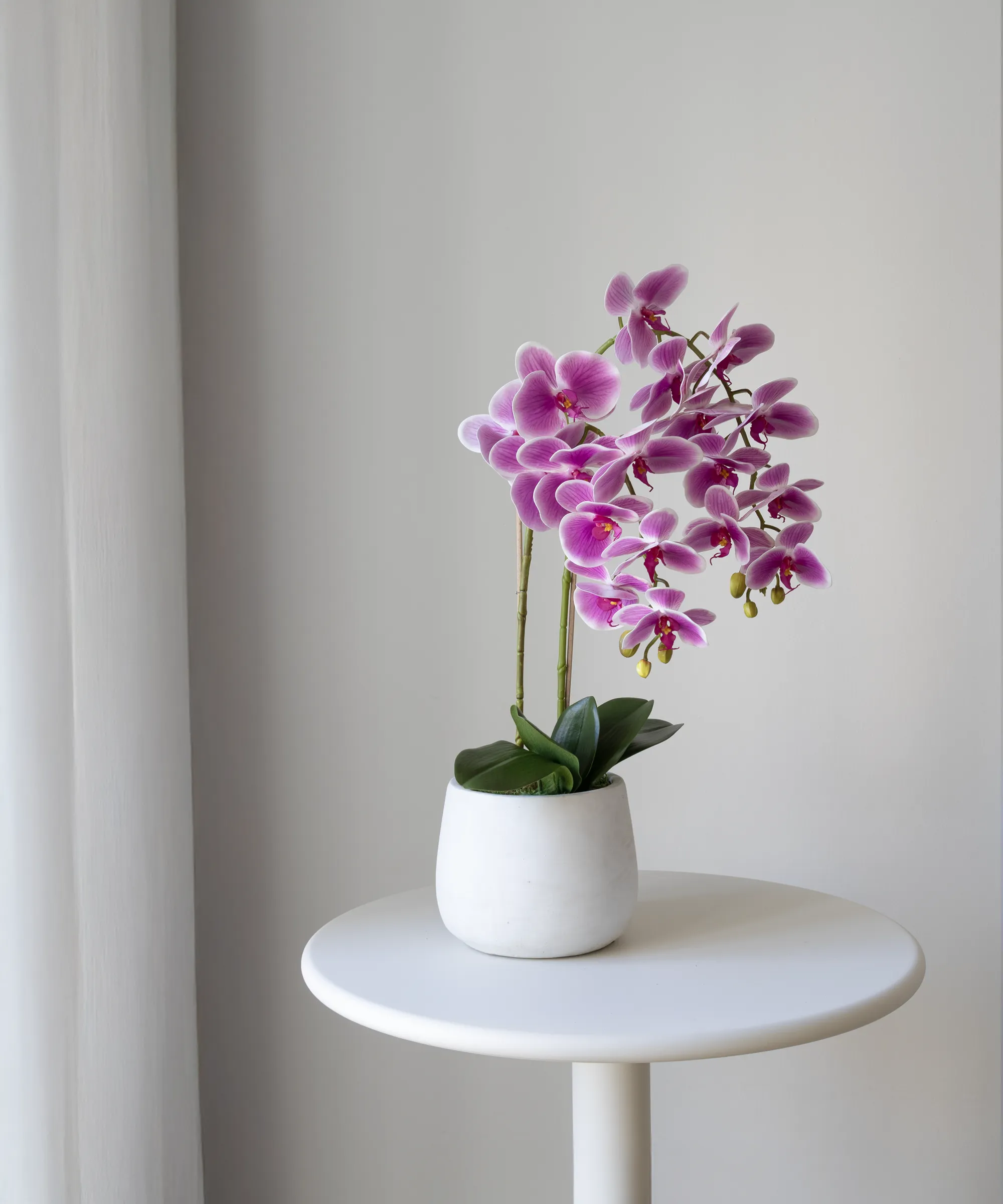 Orquídea artificial con Maceta de cerámica Soft - Image 4