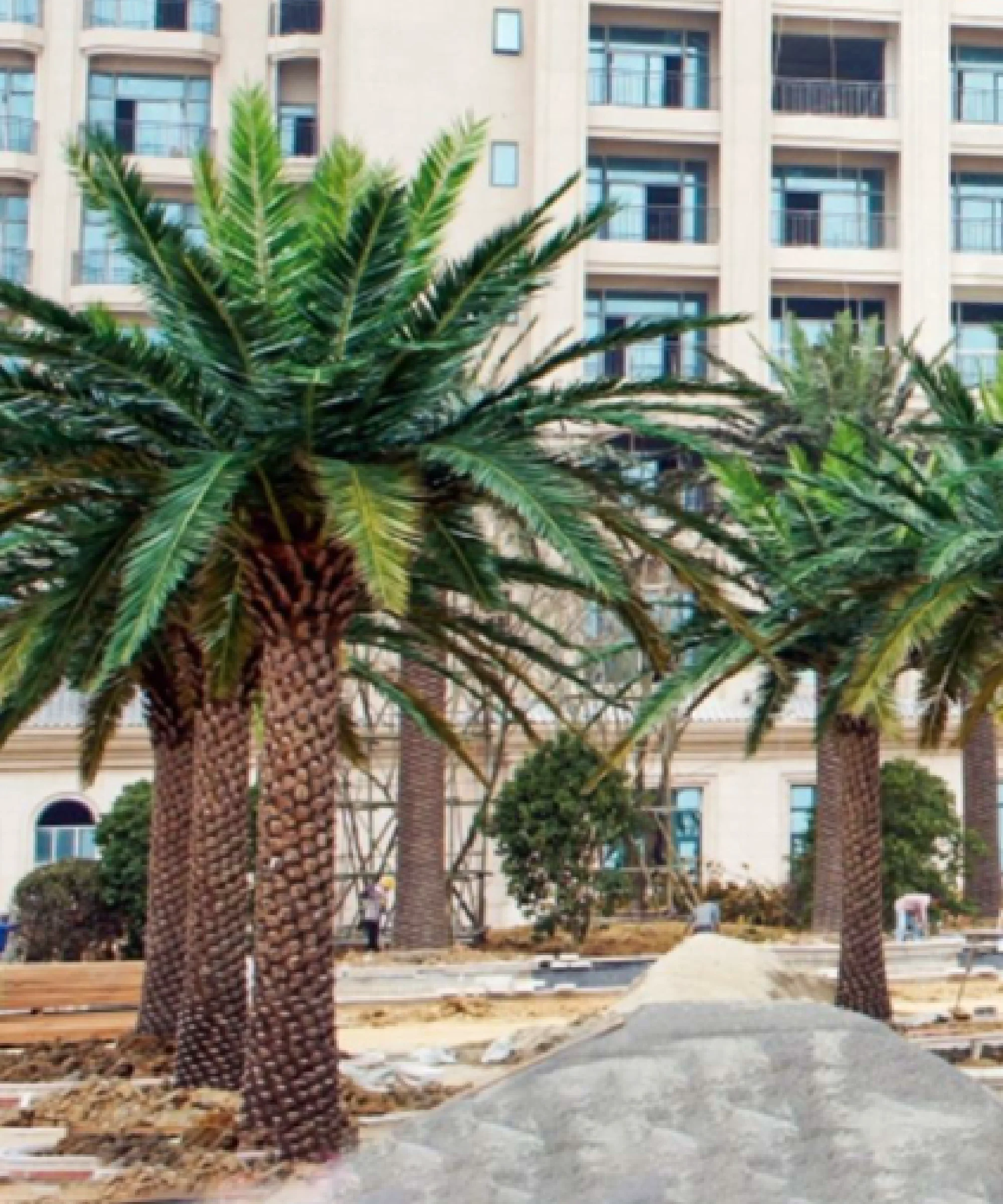 Palmera artificial Middle East 3m-30m
