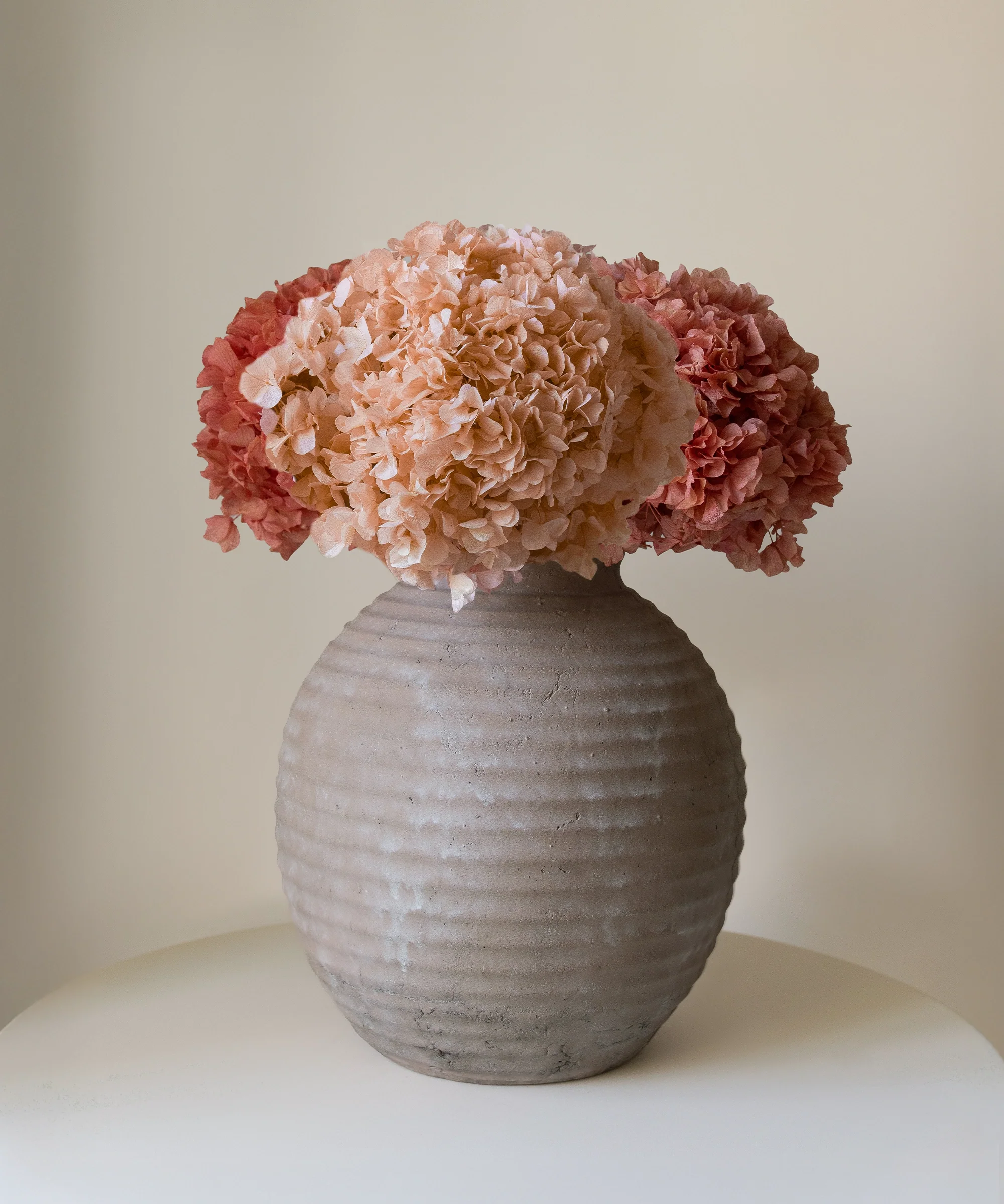 Ramo de Hortensias Preservadas - Image 6