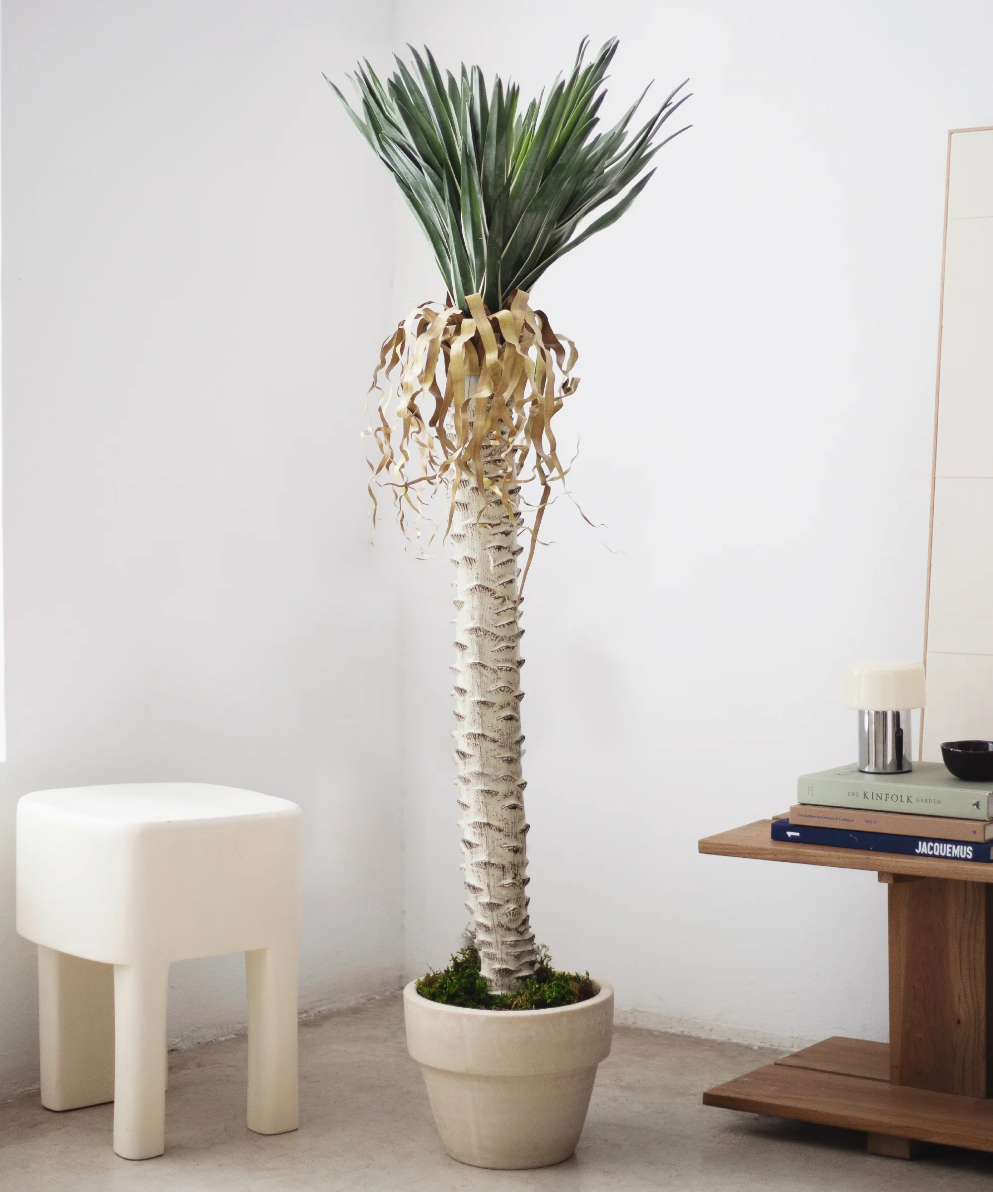 Yuca artificial - Image 5